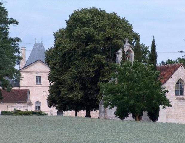 Hotel Chateau De Charge Tours Exterior foto